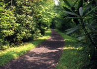 p_virginia_creeper_trail